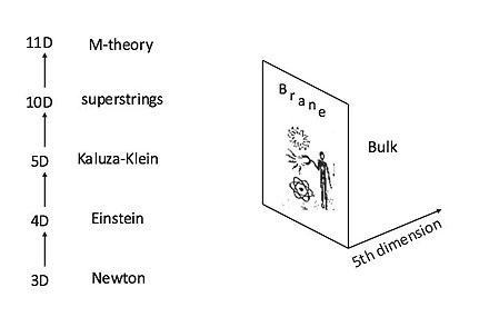 carr figure 3